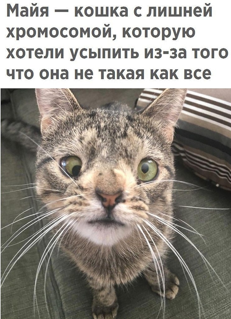  - 6  2018  02:52