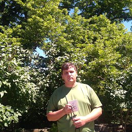 Giorgi, , 38 