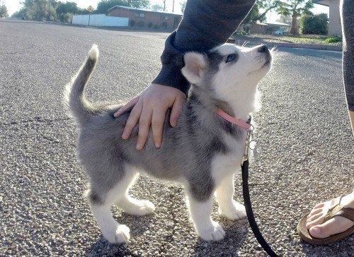 :3
