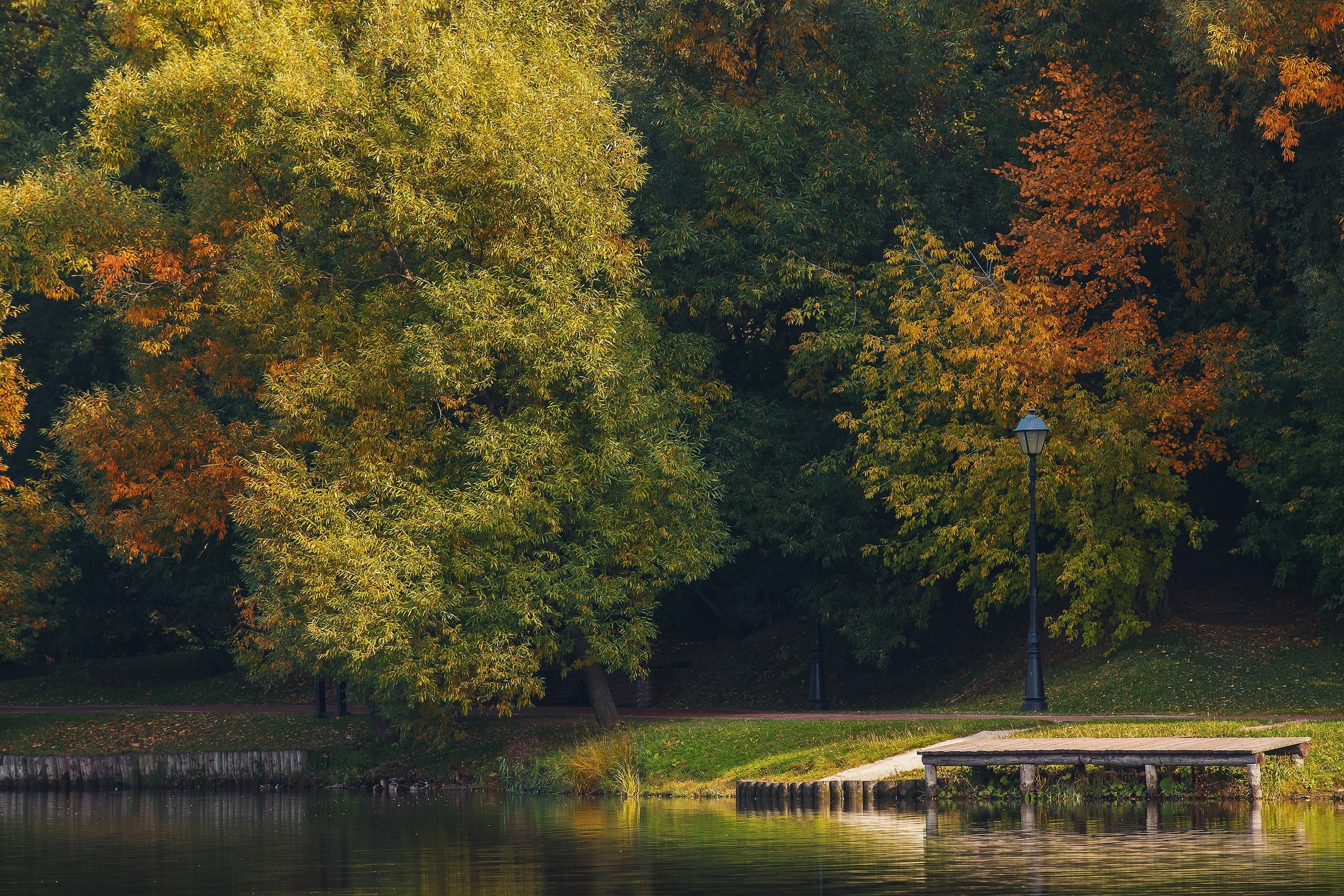  ,     :) #fall #autumn #colors #yellow #sony #alpha #citylife ... - 2