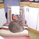  *, --, 50  -  22  2018    