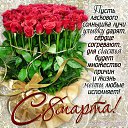 ���� ������, ������, 54 ���� - ��������� 8 ����� 2018 � ������ ���� ����������