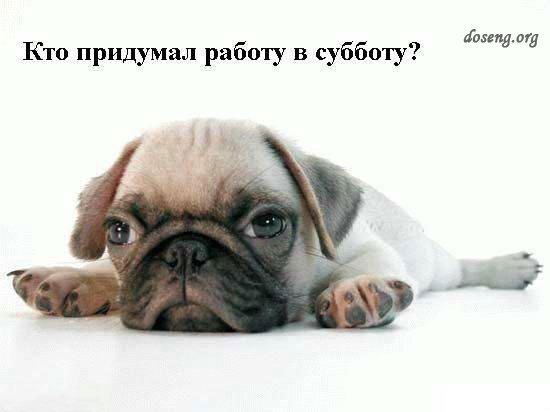   , ...     ...     ! ...