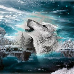 ���� ��������, ��������, 28 ��� - ��������� 27 ������ 2017