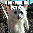  Milena,  -  7  2018    