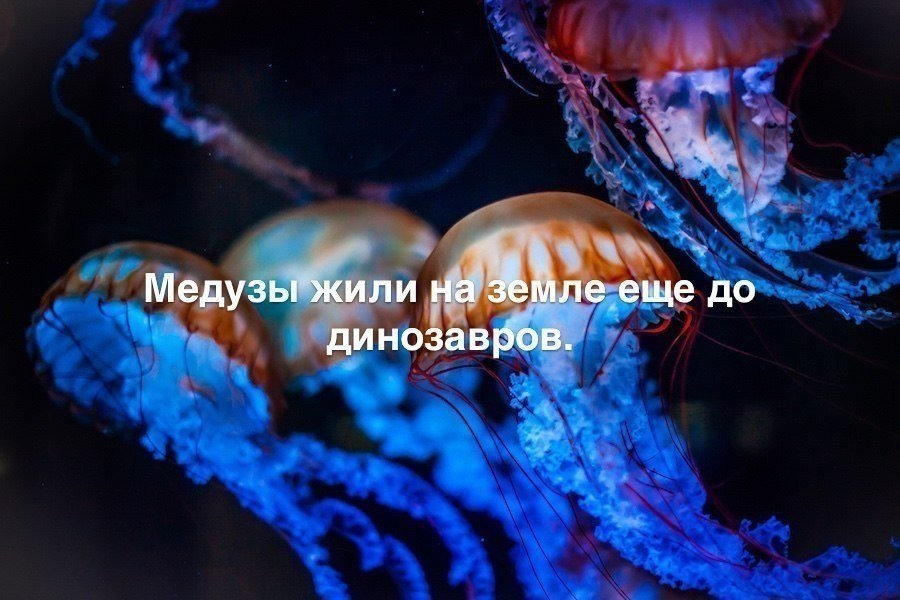   :    - 8  2018  03:30