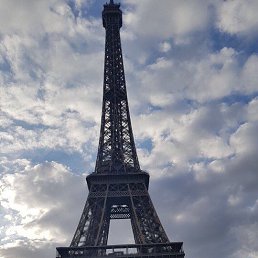 David, �������, 22 ����