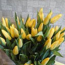 ���� �������, �������� - ��������� 9 ����� 2018 � ������ ������ ��������