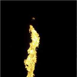 ����, �����������, 54 ����