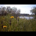  ,  -  14  2018   -2018