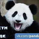 ���� �����, �����-���������, 57 ��� - ��������� 20 ������� 2018 � ������ ������ ��������