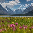 ���� ����, ������ - ��������� 11 ��� 2018 � ������ ������