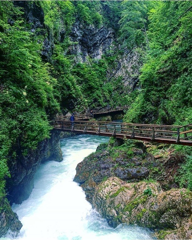   (Vintgar Gorge)   .      ... - 7