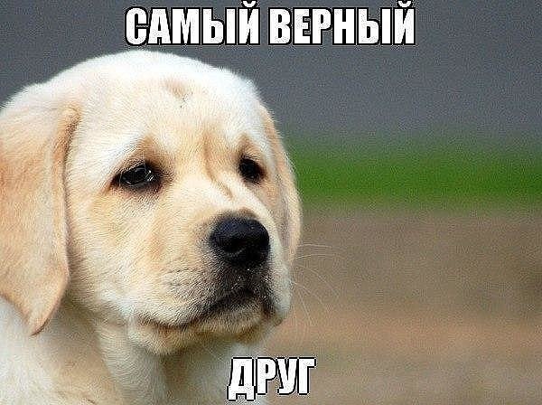   ...!!! # #u # - 4