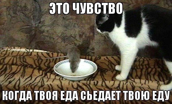  -  - 14  2018  03:51