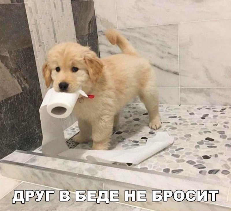   :D - 12  2018  03:34