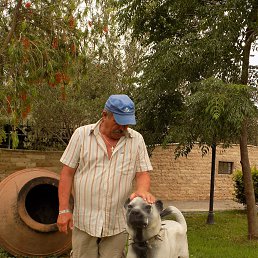 ���������, �����������, 66 ���