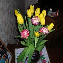 8 ����� 15 ��������� �� ������� ���� ����������