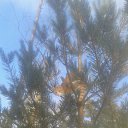 ���� ��������, �����-���������, 56 ��� - ��������� 24 ������� 2018 � ������ ���� ����������