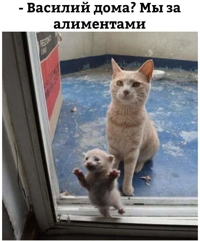      - 24  2018  04:10