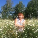 ���� �������� ��������, ������������, 58 ��� - ��������� 8 ������� 2017 � ������ ���� ����������