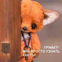 ���� Kalim, ������� - ��������� 1 ������ 2018