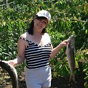 ���� ����, ������, 61 ��� - ��������� 21 ��� 2018 � ������ ���� ����������