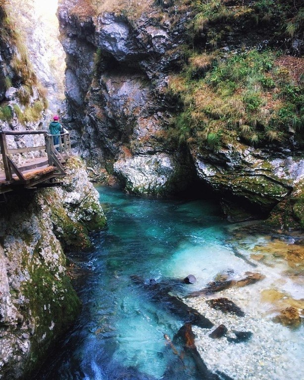   (Vintgar Gorge)   .      ... - 5