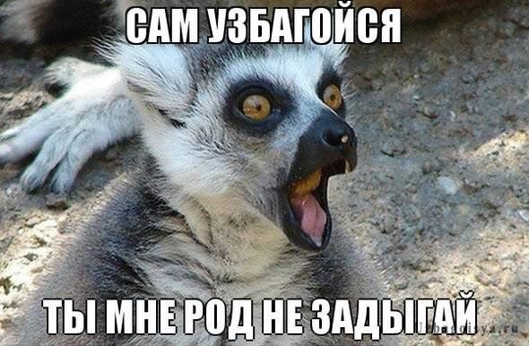 ***Victoria Viktorovna*** - 19  2018  15:46