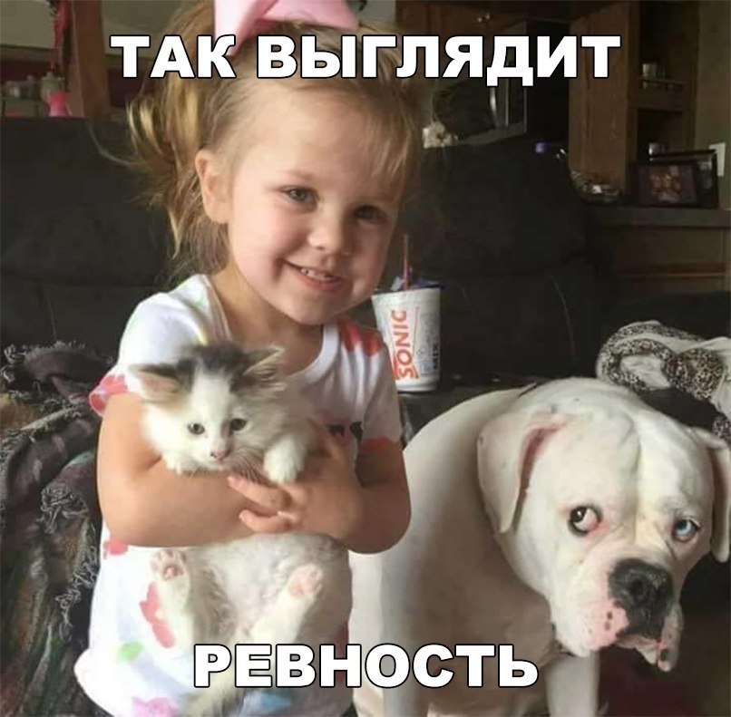   :D - 28  2018  02:33