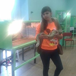 ����, �����������, 29 ���