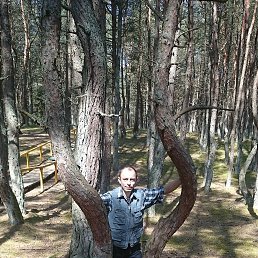 ���� ���������, ����������� - ��������� 13 ���� 2018