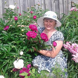 �����, �����������, 51 ���