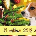 ���� Sanat, ���� - ��������� 28 ������� 2017 � ������ ������ ��������