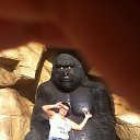 ���� �������, ���������, 59 ��� - ��������� 8 ������ 2018 � ������ ���� ����������