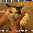 ���� �����, ������ - ��������� 13 ������ 2018 � ������ ������ ��������