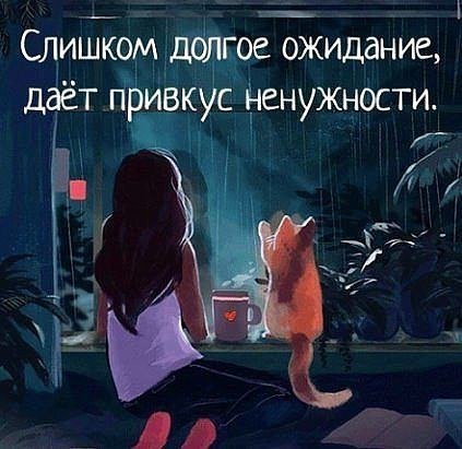 , , , ,  - 2  2017  03:29
