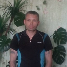 , 44 , 