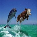  Vl@d,  -  27  2018   ...