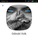  Odinoki, , 50  -  27  2018    