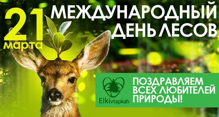 Сегодня, 21 марта, во всем мире отмечается Международный день лесов или Всемирный день защиты лесов, ...