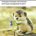 ���� ��������, ����������, 47 ��� - ��������� 11 ������ 2018 � ������ ���� ����������