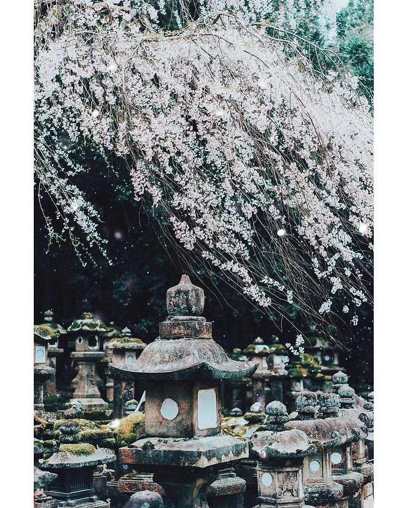 Japan - 10