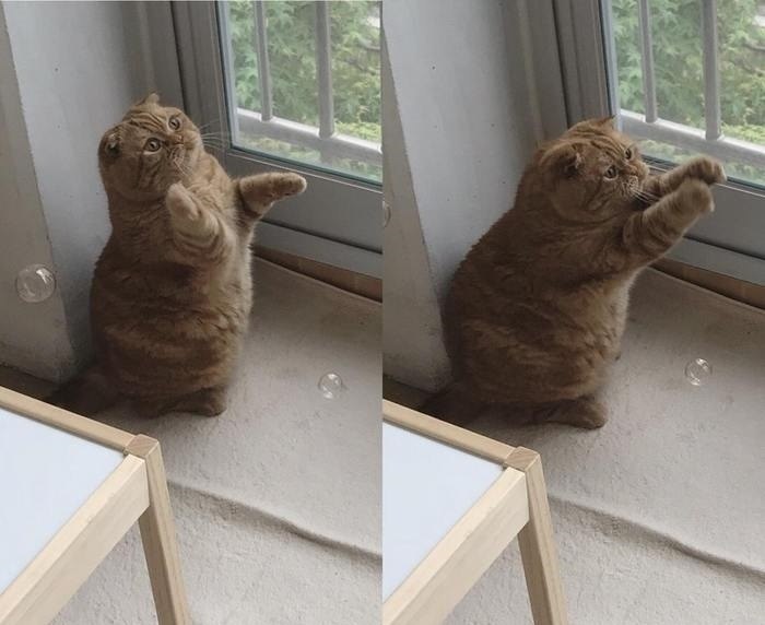,        ,        ...