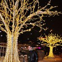 ���� ������, ������, 36 ��� - ��������� 17 ������� 2018 � ������ �� 2018 ���