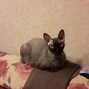 ���� �����, ������, 42 ���� - ��������� 30 ��� 2018 � ������ ���� ����������