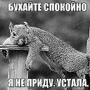 ���� Orso C Wilami Mt, ����, 31 ��� - ��������� 7 ������ 2018 � ������ �my photo�