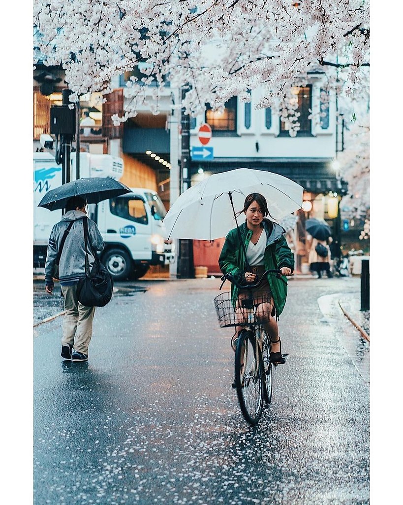Japan - 8