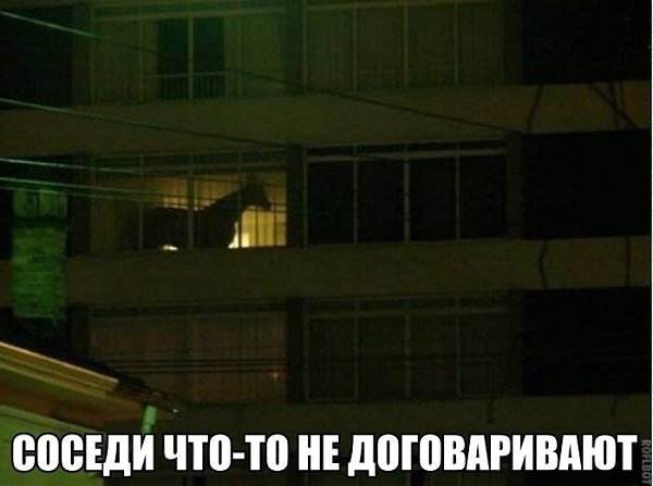    :D - 24  2017  03:57