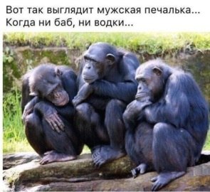  - 5  2018  09:57
